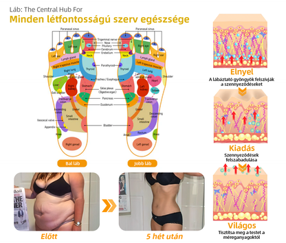 👑Purefeet™ Méhméreg Nyirokelvezető és karcsúsító lábfürdő gyöngyök - Minden nyirokproblémára és elhízásra alkalmas -CE tanúsítvánnyal